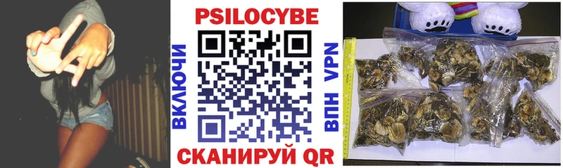 Псилоцибиновые грибы MAGIC MUSHROOMS  Амурск 